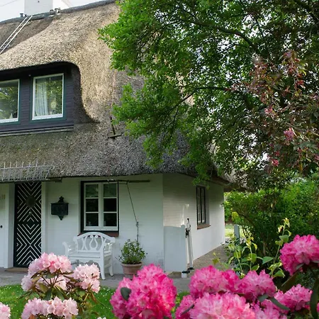 Tatil Evi Benendikenwai 11